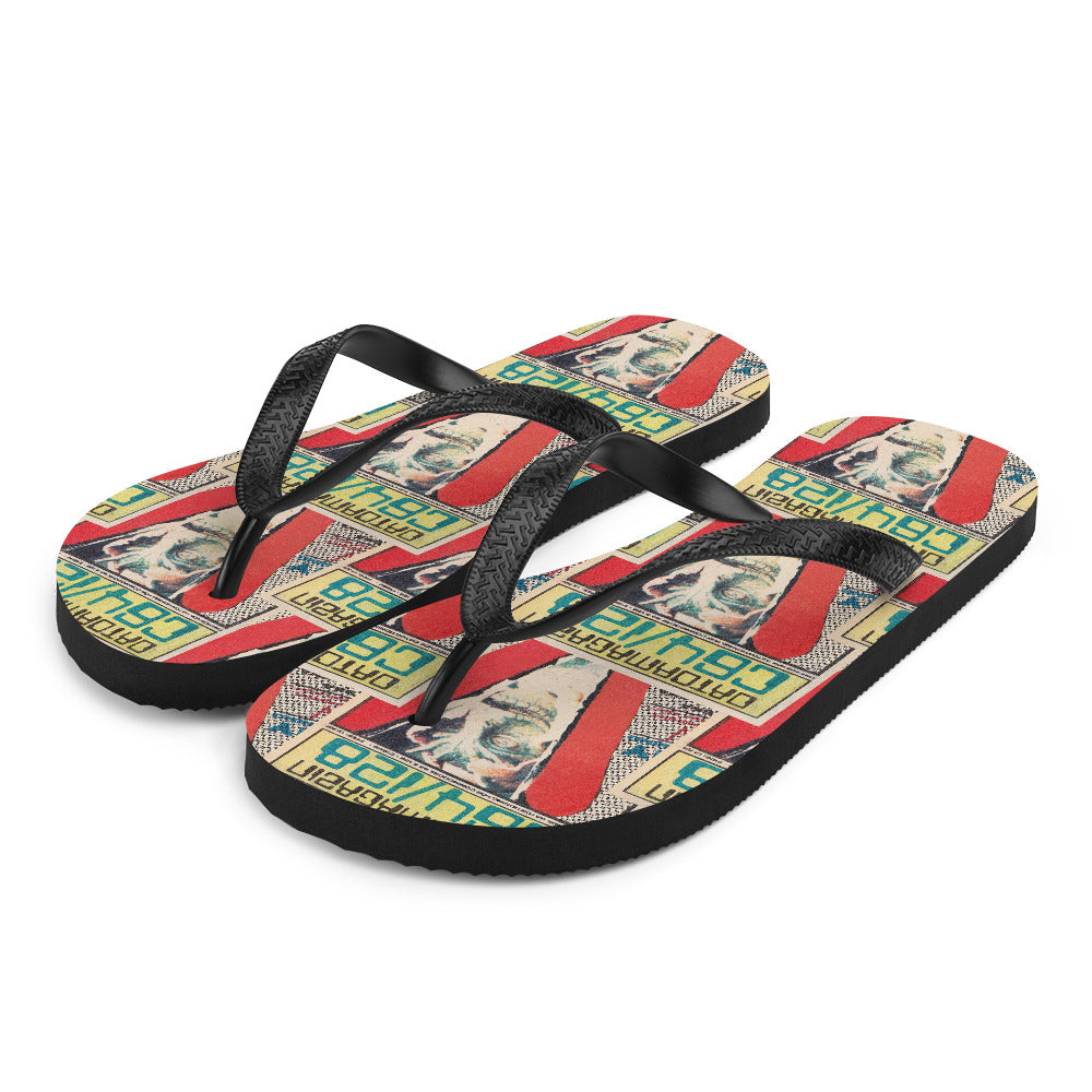 Flip-Flops – DMZ #1