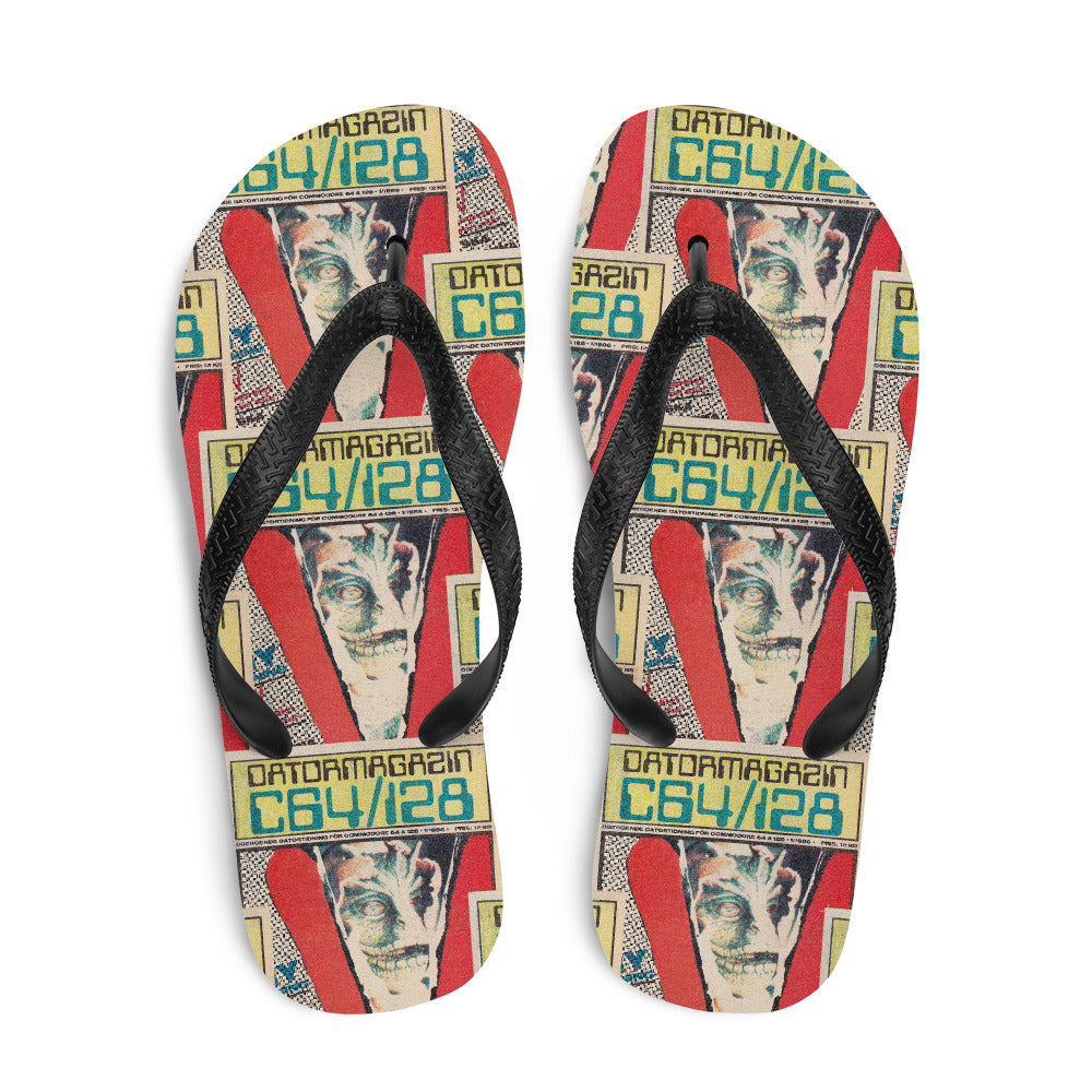 Flip-Flops – DMZ #1