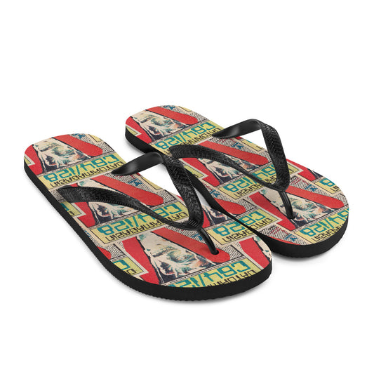 Flip-Flops – DMZ #1